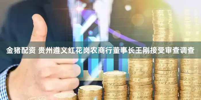 金猪配资 贵州遵义红花岗农商行董事长王刚接受审查调查